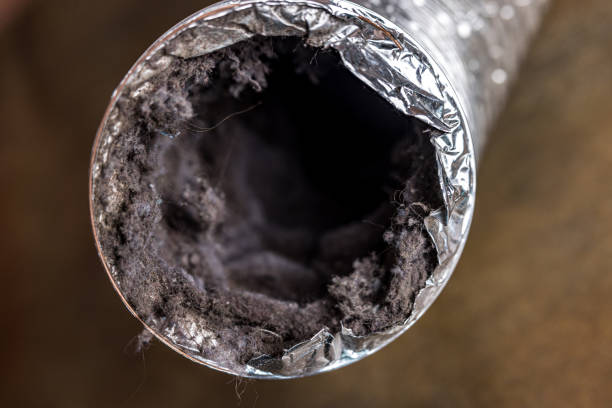 Best Air Duct Cleaning Near Me  in Duncan, SC