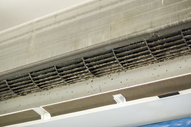 Best Commercial HVAC Duct Cleaning  in Duncan, SC