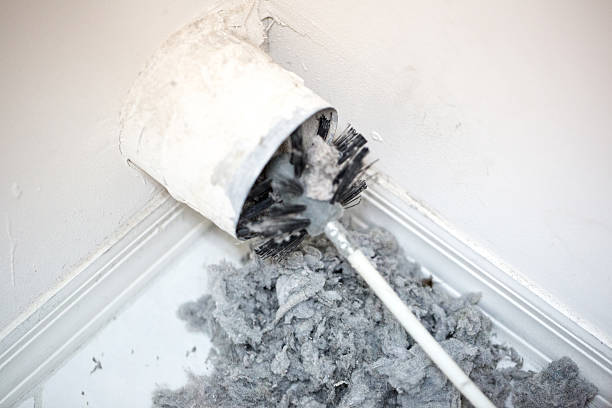 Best Professional Duct Cleaning Services  in Duncan, SC